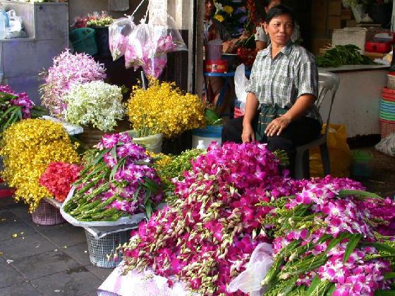 Marche aux Fleurs