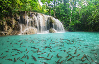 Cascades Erawan Thailande