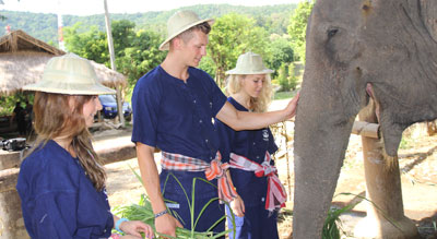 Chiang Mai éléphants