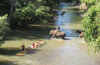 2lephants Chiang Mai Radeau Bambou