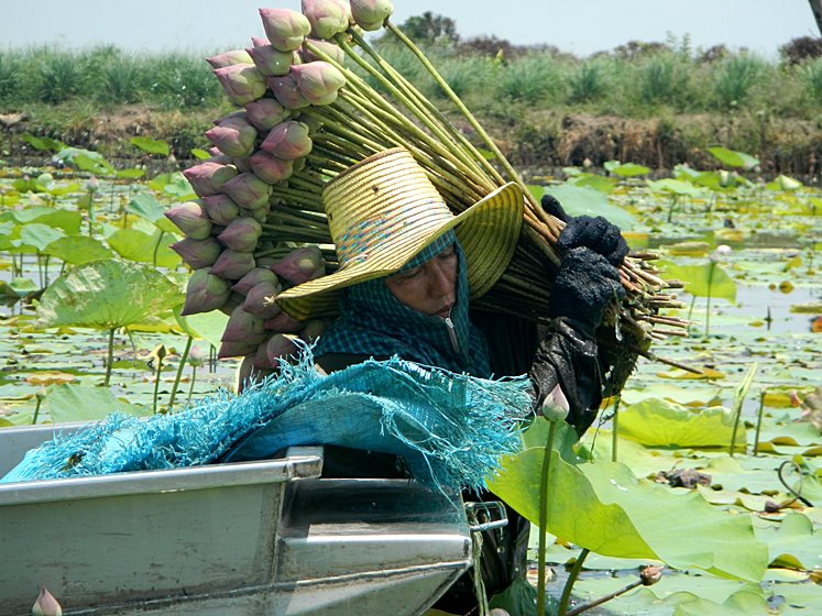 Thailande Visite circuit Voyage Guide francophone